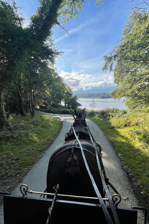 Killarney Carriage Tours National Park and Lakes - What the private format adds