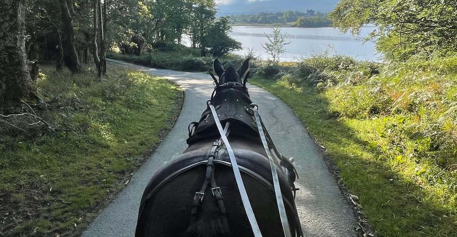 Killarney Carriage Tours National Park and Lakes - The practical details that matter