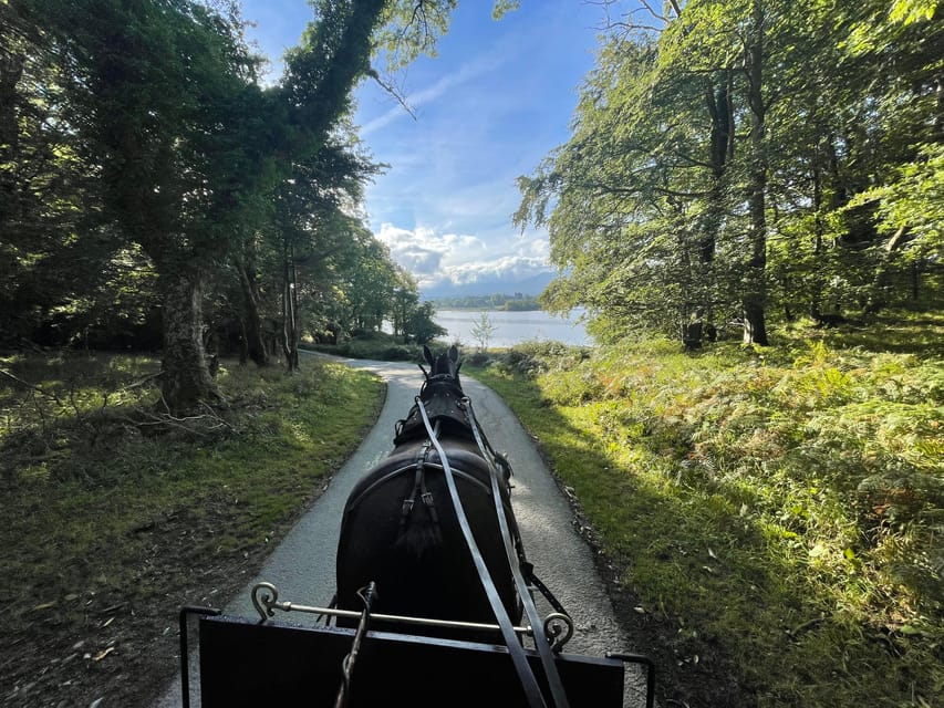 Killarney Carriage Tours National Park and Lakes - Should you book the Killarney jaunting car tour?