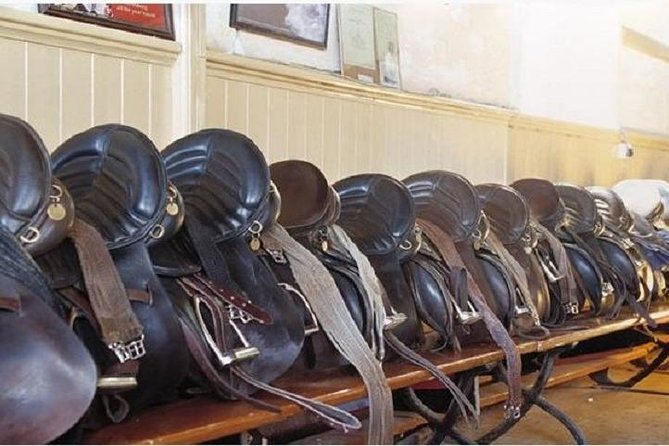 Killarney National Park Horseback Ride. Co Kerry. Guided. 1 hour. - Is one hour enough?