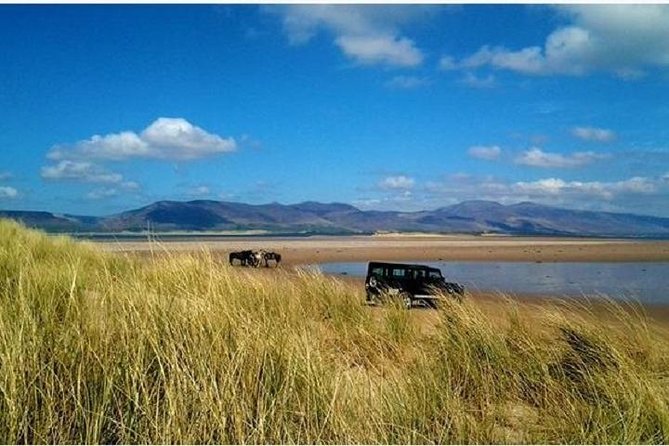 Killarney National Park Horseback Ride. Co Kerry. Guided. 1 hour. - Who should book this ride?