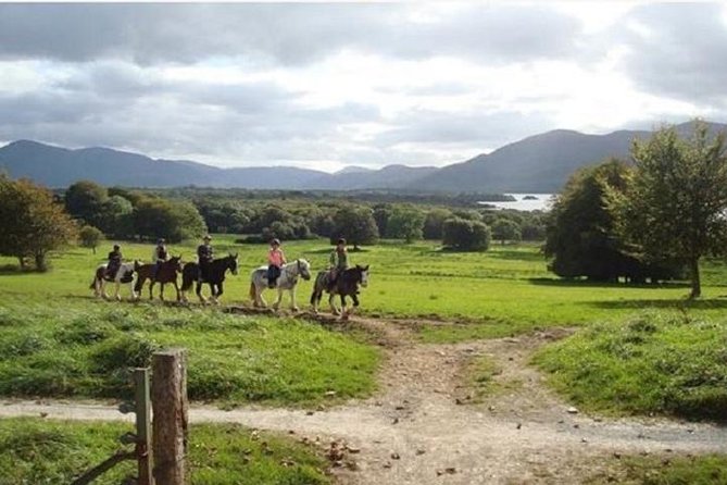 Killarney National Park Horseback Ride. Co Kerry. Guided. 1 hour. - Riding through the park at a gentle pace