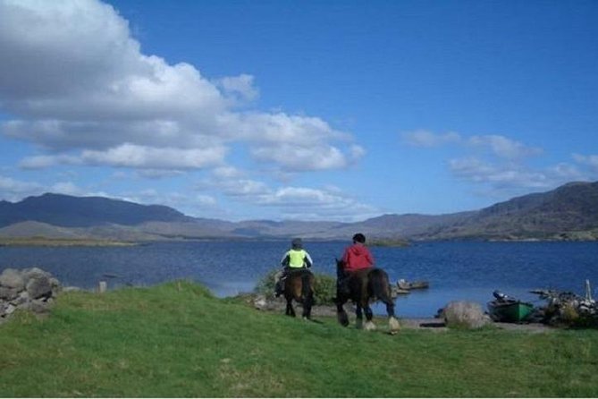 Killarney National Park Horseback Ride. Co Kerry. Guided. 2 hours. - What beginners can expect in the saddle