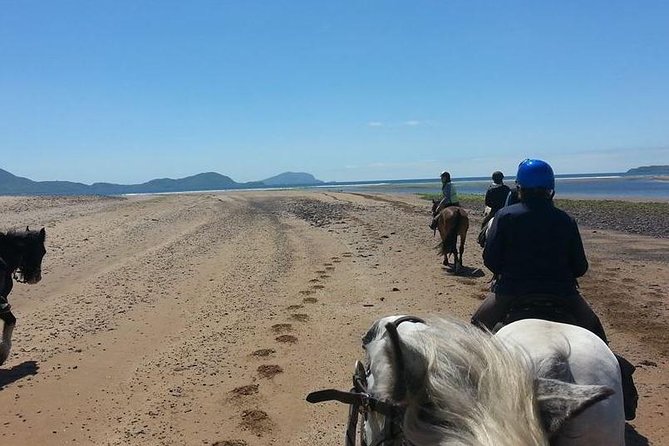 Killarney National Park Horseback Ride. Co Kerry. Guided. 2 hours. - Gear, clothing, and Irish weather