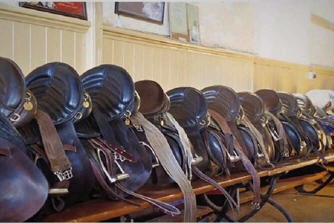 Killarney National Park Horseback Ride. Co Kerry. Guided. 3 hours. - What happens before the 8:30 a.m. departure