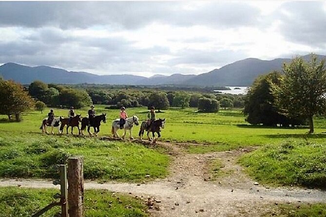Killarney National Park Horseback Ride. Co Kerry. Guided. 3 hours. - What the $282.97 price really buys you