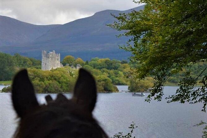 Killarney National Park Horseback Ride. Co Kerry. Guided. 3 hours. - Weather, cancellation, and planning around the ride