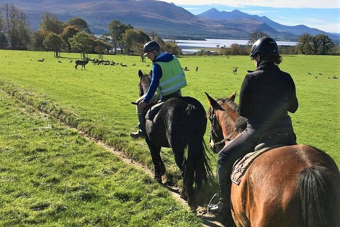 Killarney National Park Horseback Ride. Co Kerry. Guided. 3 hours. - Lough Lein and the park’s scenic rewards