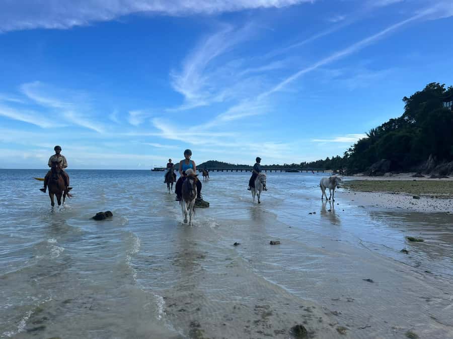 Koh Samui Horse Riding & Beach Trails - Safety, medical planning, and the sea