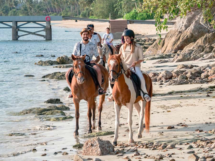 Koh Samui Horse Riding & Beach Trails - From the COLTS office to Koh Samui’s beach