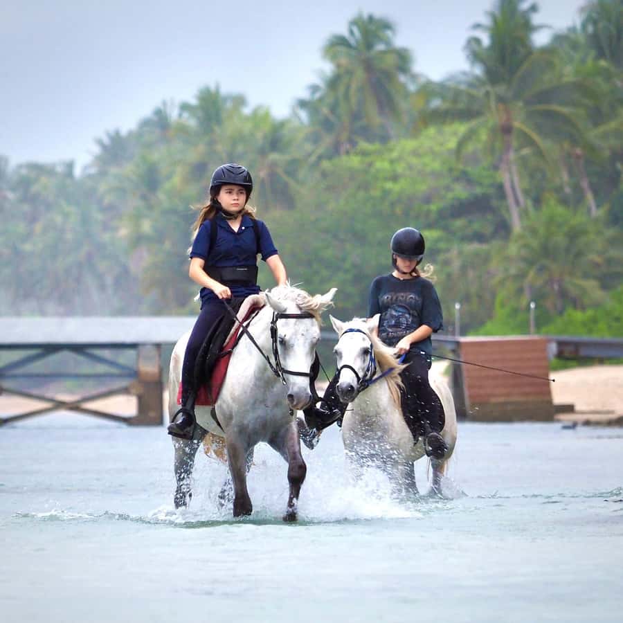 Koh Samui Horse Riding & Beach Trails - Sunrise at 7:00 a.m. or sunset at 5:00 p.m.