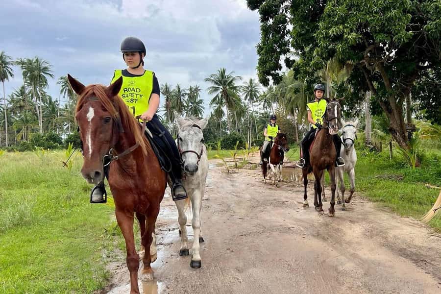Koh Samui Horse Riding & Beach Trails - The beach ride and possible sea crossing