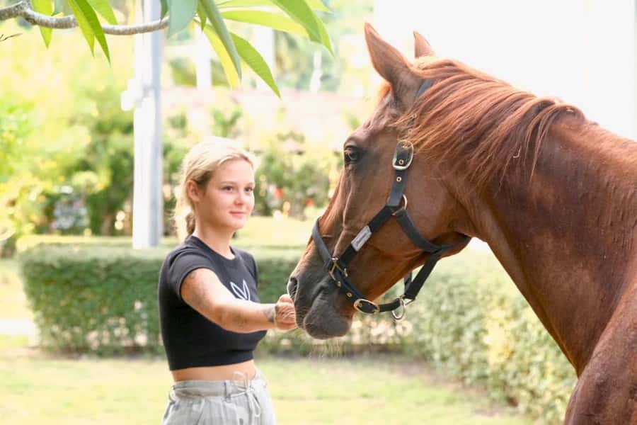 Koh Samui Horse Riding & Beach Trails - Horses, helmets, boots, and clothing