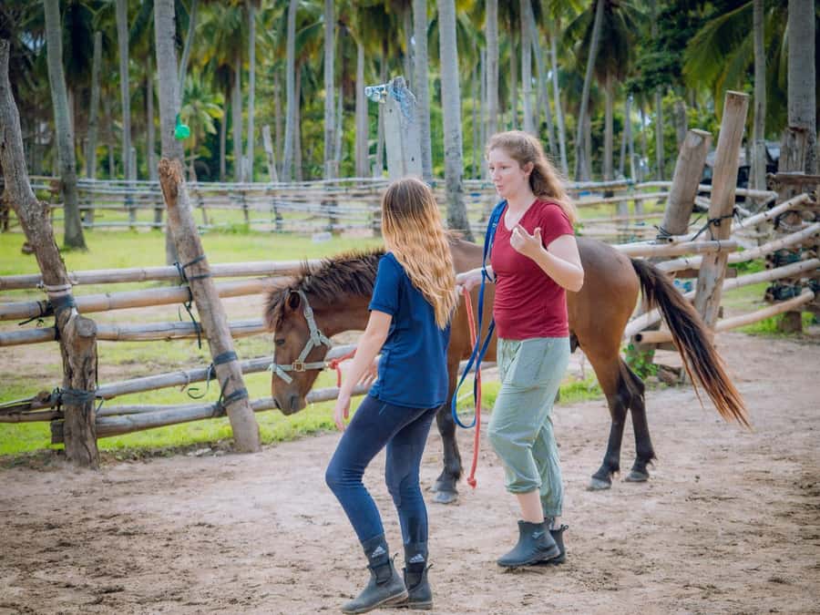 Koh Samui Horse Riding & Beach Trails - The $79 question: is one hour good value?