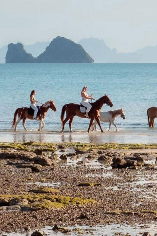 Koh Samui Horse Riding & Beach Trails - Families, children, and weight limits
