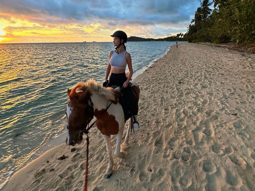 Koh Samui: Sunset Trail Horse Riding on The Beach - Key points at a glance