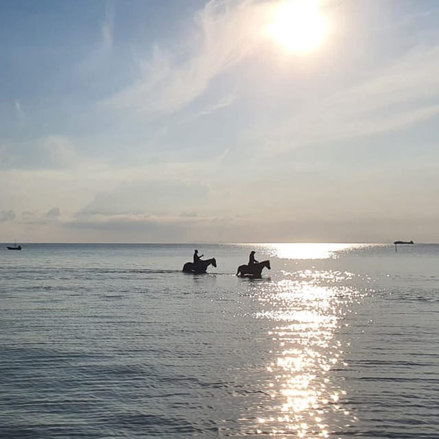 Koh Samui: Sunset Trail Horse Riding on The Beach - A quiet start at the Koh Samui riding office