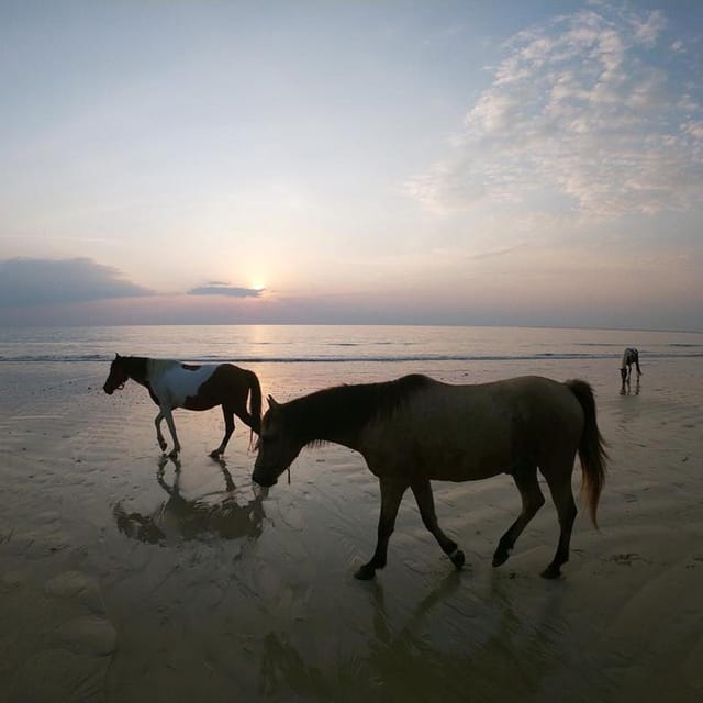 Koh Samui: Sunset Trail Horse Riding on The Beach - Reaching Laem Yai Beach at sunset