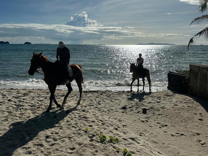 Koh Samui: Sunset Trail Horse Riding on The Beach - A possible ride into the sea