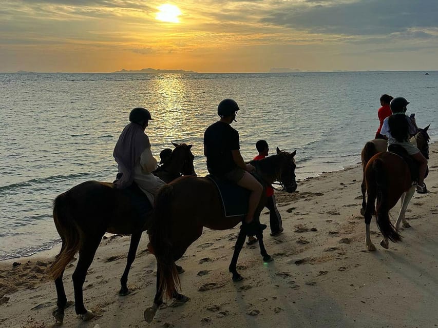 Koh Samui: Sunset Trail Horse Riding on The Beach - How the staff handle beginners and experienced riders