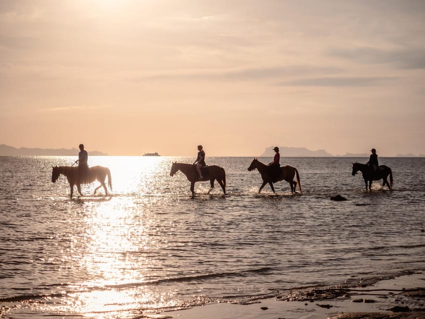 Koh Samui: Sunset Trail Horse Riding on The Beach - Is $103 good value?