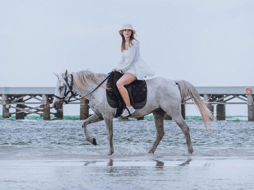 Koh Samui: Sunset Trail Horse Riding on The Beach - Who will enjoy this most