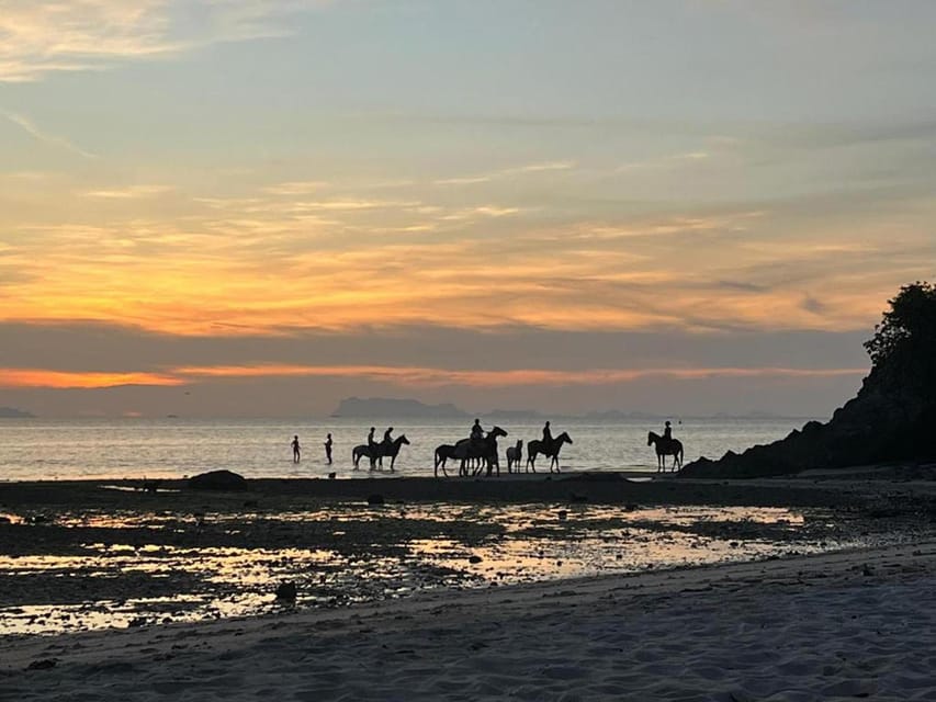 Koh Samui: Sunset Trail Horse Riding on The Beach - Through the gardens before the sun drops