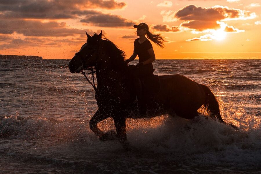 Kos: Horse Riding Experience on the Beach with Instructor - Starting at the stable near Tigaki