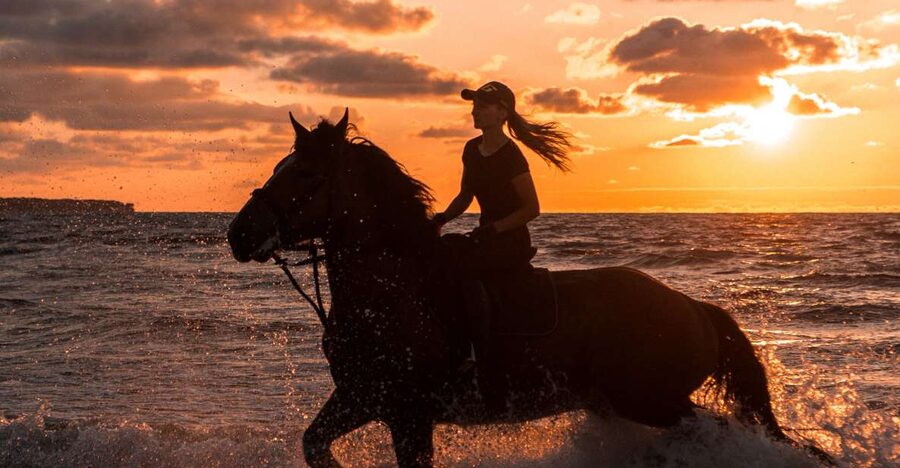 Kos: Horse Riding Experience on the Beach with Instructor - Riding along the sandy shoreline