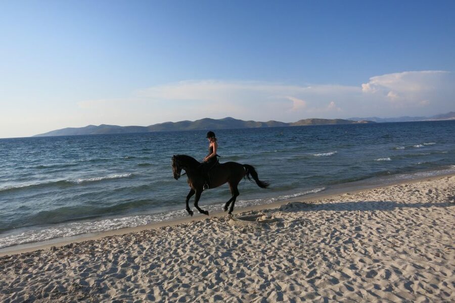 Kos: Horse Riding Experience on the Beach with Instructor - How the small group changes the ride