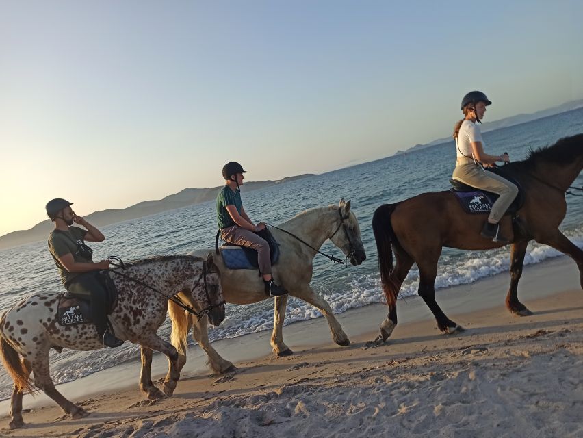 Kos: Horse Riding Experience on the Beach with Instructor - Should you book the Kos beach ride?