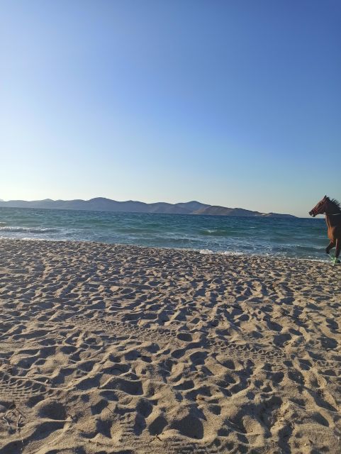 Kos: Horse Riding Experience on the Beach with Instructor - Across the salt lake and open countryside
