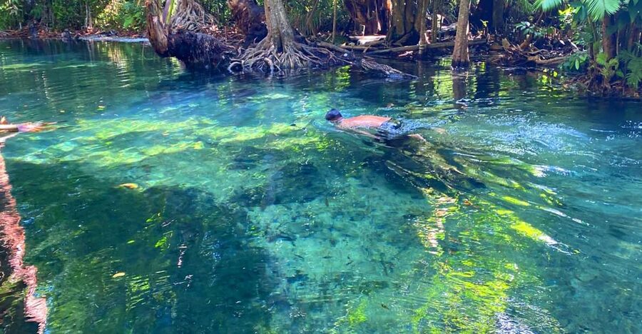 Krabi: Crystal Lagoon Kayaking and Horseback Riding Day Trip - Is $121 a fair price?