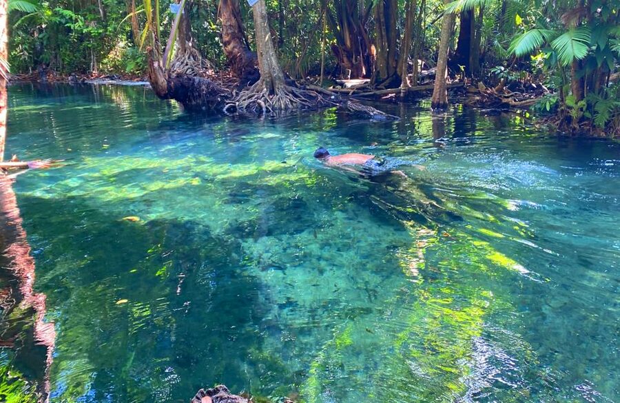 Krabi: Crystal Lagoon Kayaking and Horseback Riding Day Trip - Starting with hotel pickup around Krabi