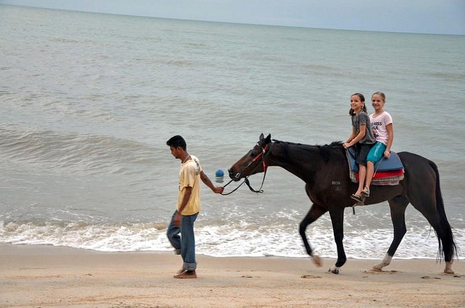 Krabi Horse Riding at Ao Nam Mao Beach - From the sand into Krabi’s countryside