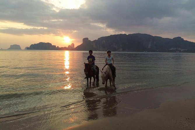 Krabi Horse Riding at Ao Nam Mao Beach - How the horses are cared for
