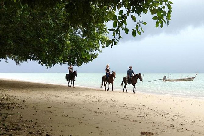 Krabi Horse Riding at The Beach - The horse-swimming add-on