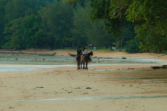 Krabi Horse Riding at The Beach - Price, pickup, and the real value