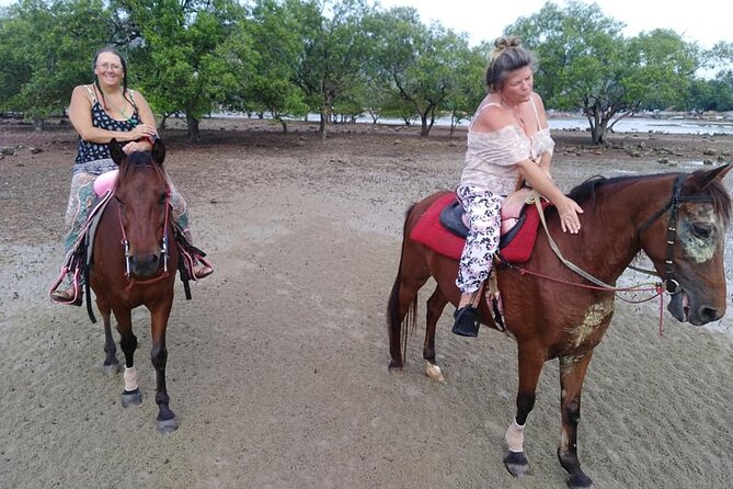 Krabi Horse Riding at The Beach - Who should book this Krabi horse ride?