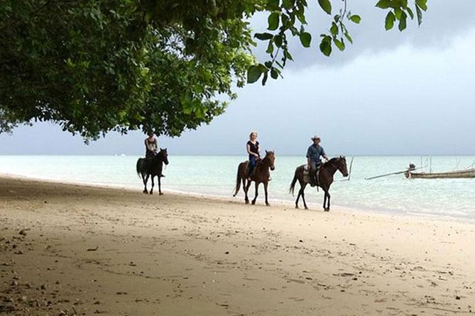 Krabi Horse Riding at The Beach - From forest and village paths to the beach
