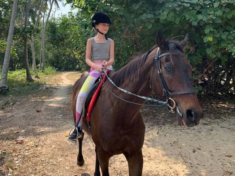 Krabi: Horse Riding On Klong Muang Beach - What the horses and handlers add