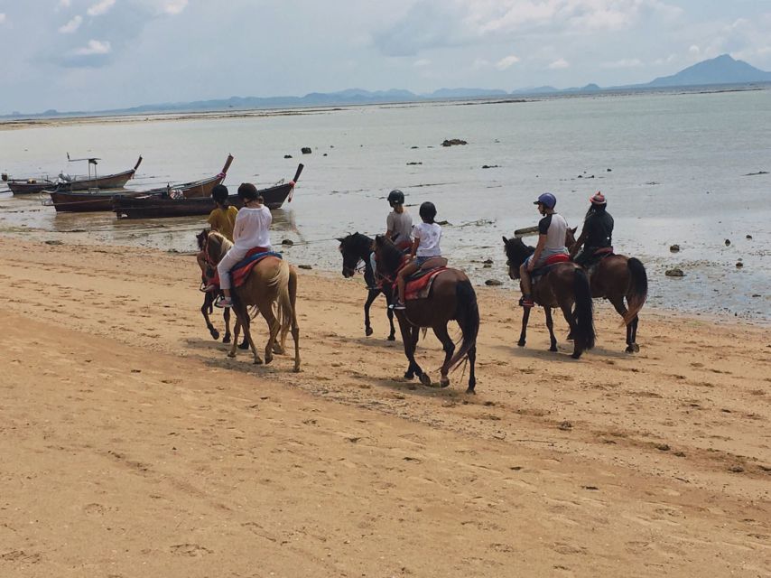 Krabi: Horseback Riding on the Beach - Key points at a glance