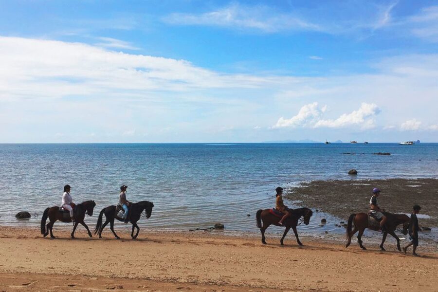 Krabi: Horseback Riding on the Beach - Should you book Krabi horseback riding on the beach?