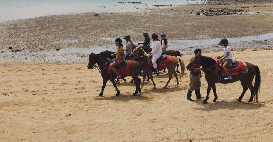 Krabi: Horseback Riding on the Beach - Riding Ban Ao Nam Mao beach
