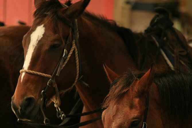 Kualoa Ranch - Horseback Walking Tour - Getting There Without a Stressful Start