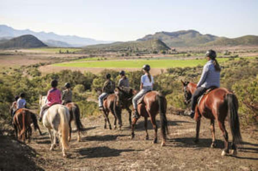 Kudu Trail Horse Riding Experience - Arriving at Doornkraal farm near Oudtshoorn