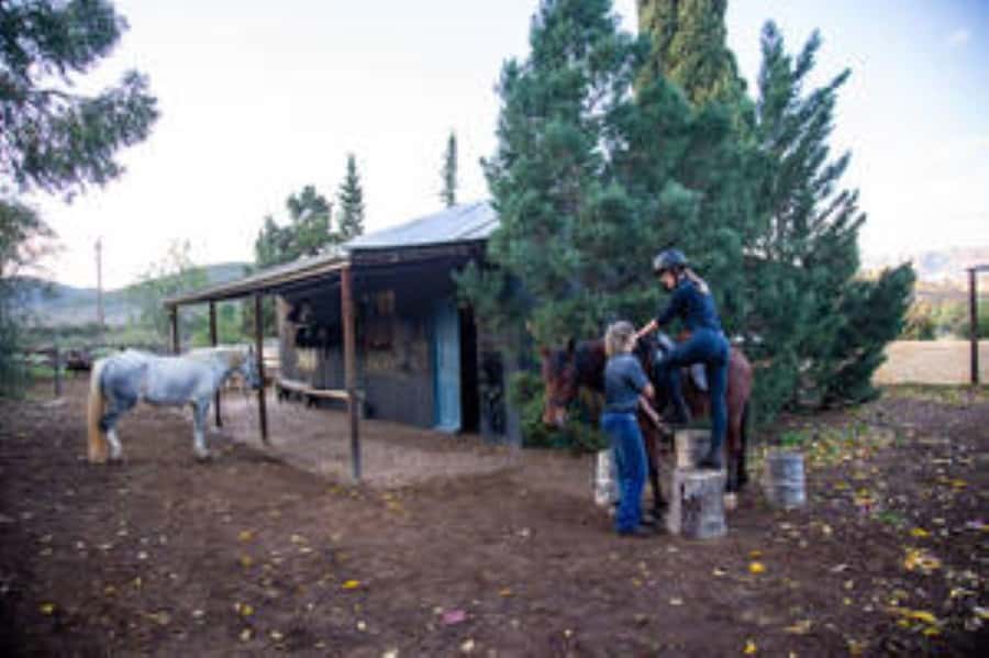 Kudu Trail Horse Riding Experience - Following jeep tracks into the Klein Karoo