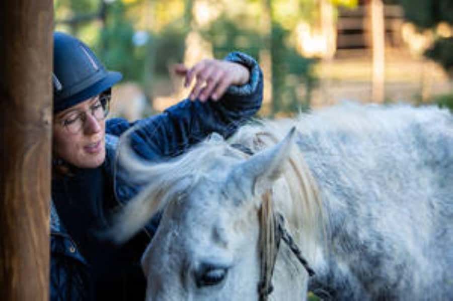 Kudu Trail Horse Riding Experience - Choosing a horse and getting comfortable in the saddle