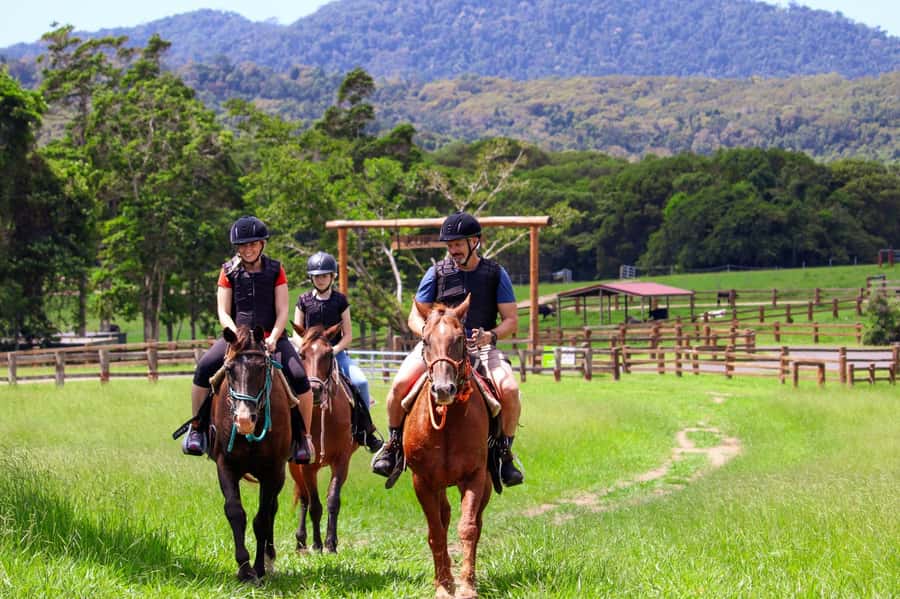 Kuranda: 60 minute Guided Horse Trail Ride & Petting Farm - Key points to know before you book