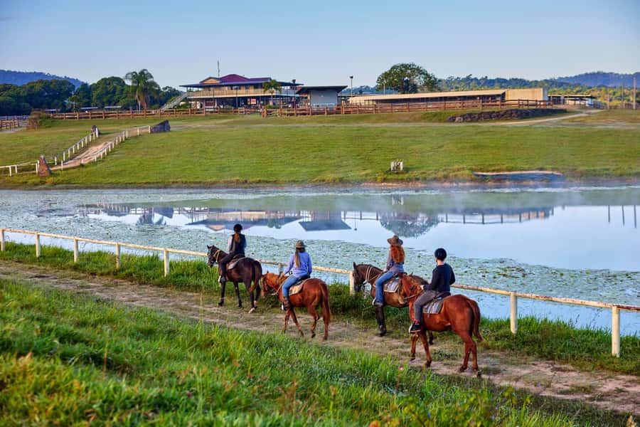 Kuranda: 60 minute Guided Horse Trail Ride & Petting Farm - A working farm outing near Kuranda